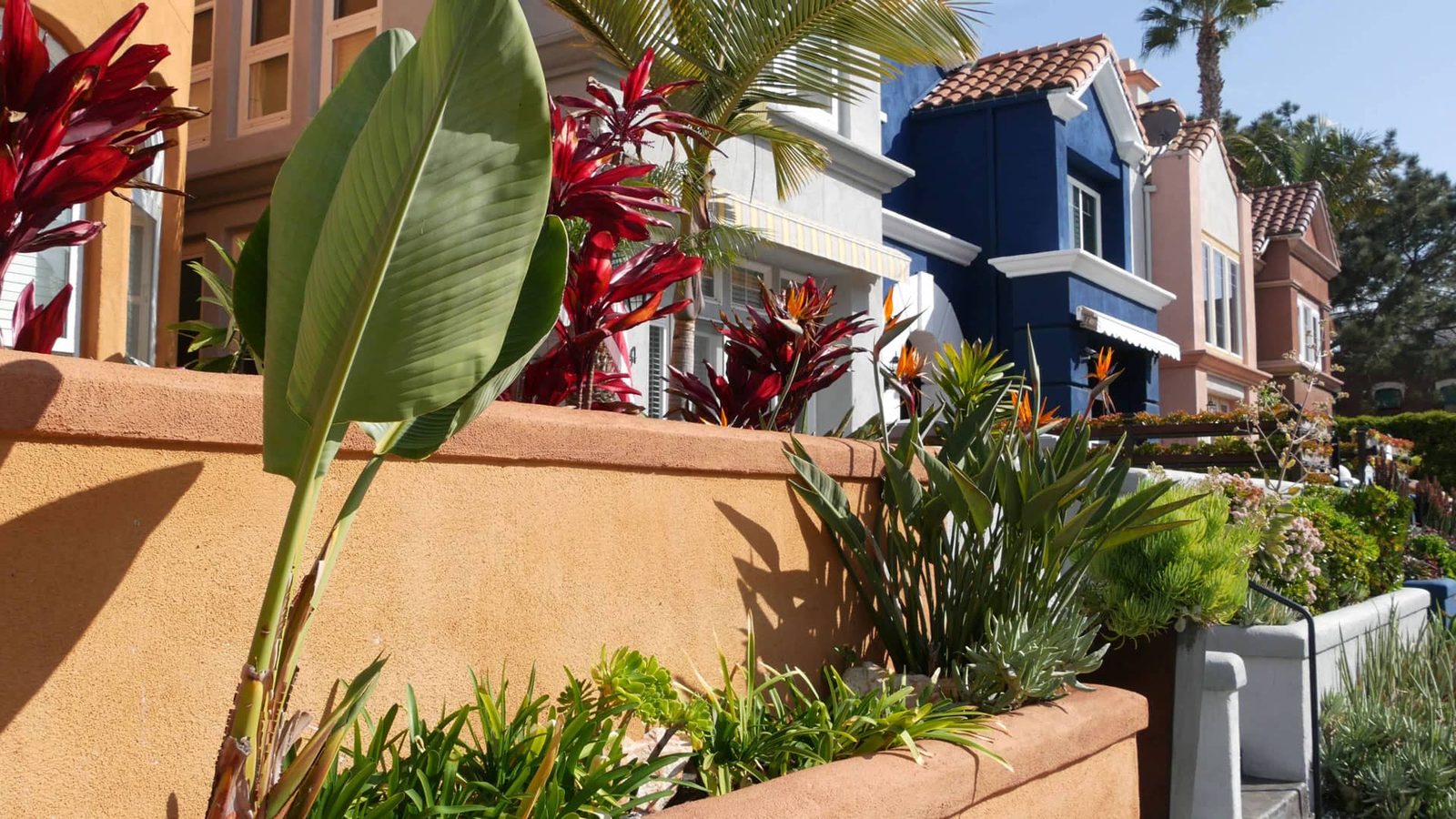 Chatsworth neighborhood homes and gardens