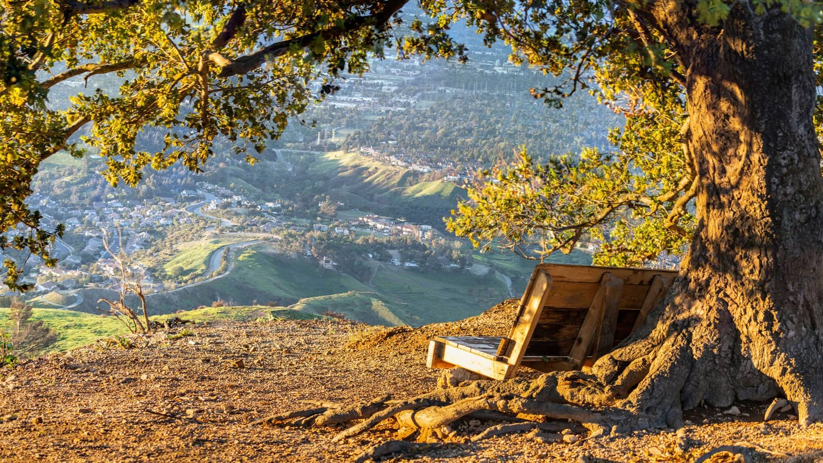 Northridge and the San Fernando Valley from the hills